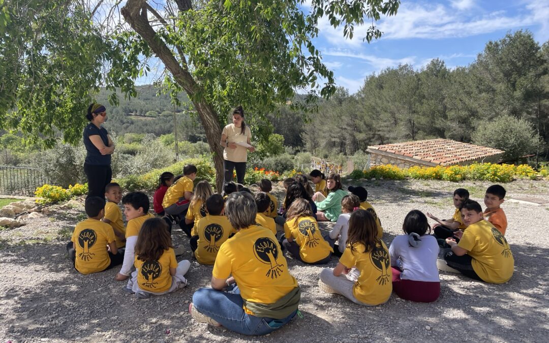 Activitats escolars a la natura a prop de Barcelona per a infantil, primària i secundària