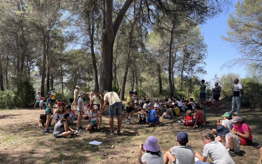 Activitats escolars a la natura per a educació infantil i primària