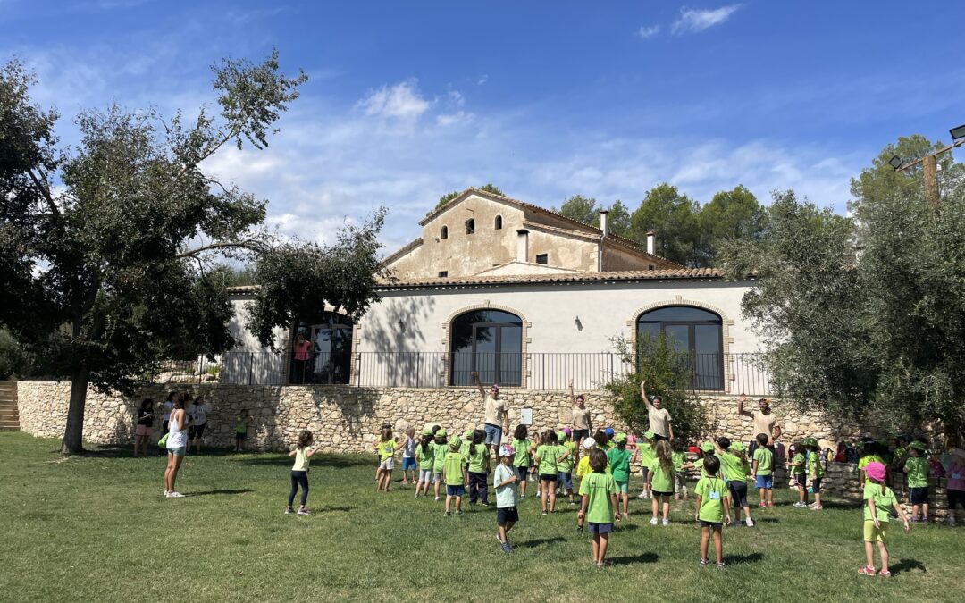 Activitats de tardor per educació infantil que van més enllà de la castanyada