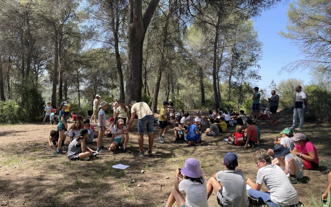 Activitats escolars a la natura per a educació infantil i primària