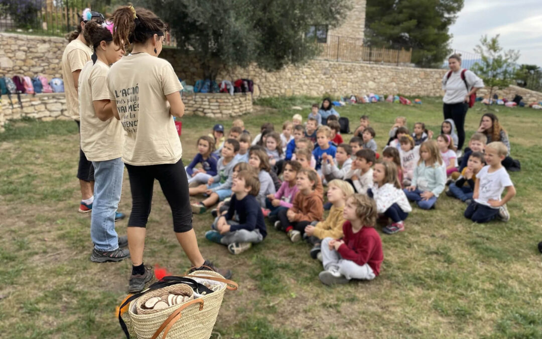 Activitats d’orientació per a primària