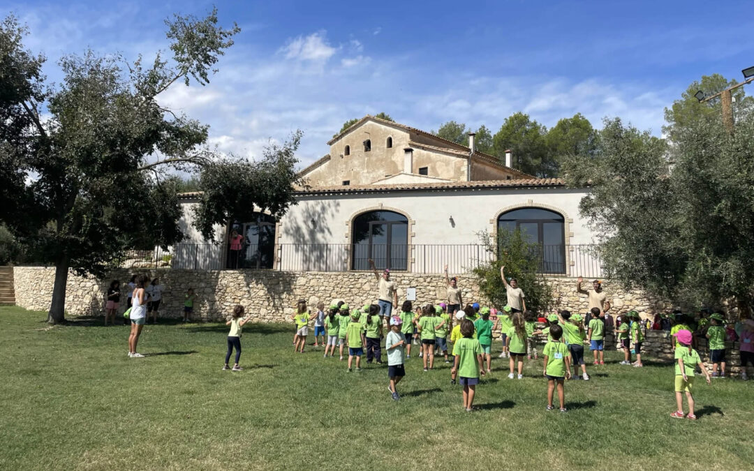 Activitats de tardor per educació infantil que van més enllà de la castanyada
