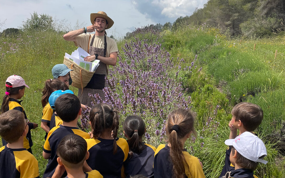 Activitats sobre biodiversitat: recursos i experiències per treballar-la a Infantil i Primària