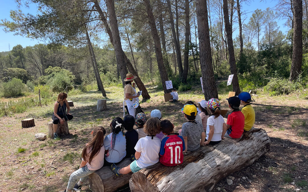 Activitats d’orientació a Primària: aprendre a orientar-se mentre es descobreix la natura