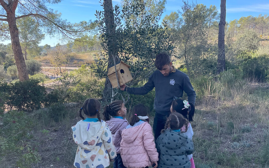 Activitats sobre els animals del bosc: recursos i experiències per descobrir la fauna a Infantil i Primària